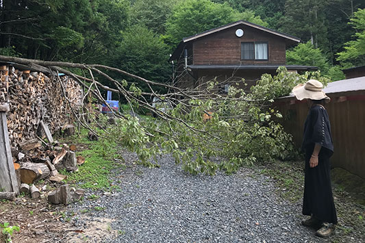 �������܃����h