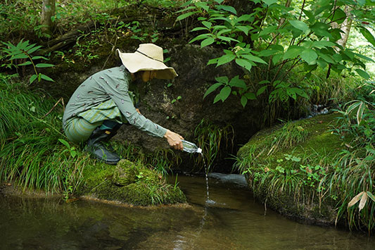 ���L���t�@�~���[��