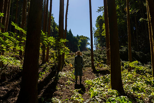 ���̎n�܂�