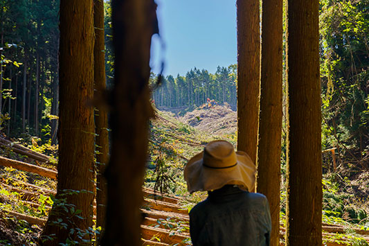 ���̎n�܂�