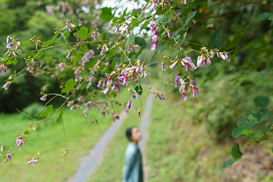 ���̉ԂƂ悵�q