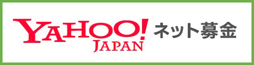 YAHOO JAPAN �l�b�g���