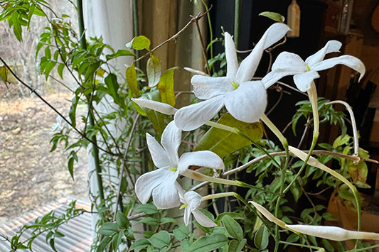 �҂��ĂĂ���܂����B