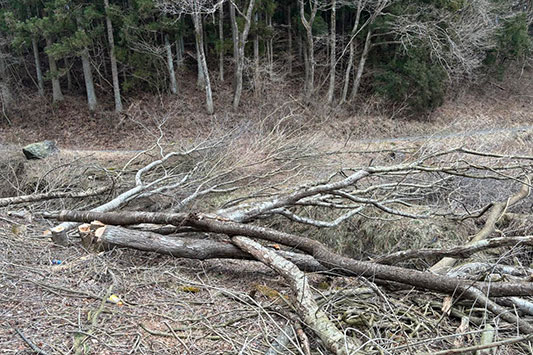 �|���ꂽ��