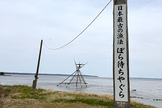 �{�����e�B�A�A�҂��Ă��܂��B