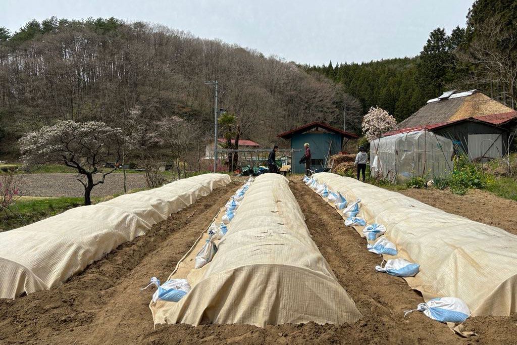 �c��Â���