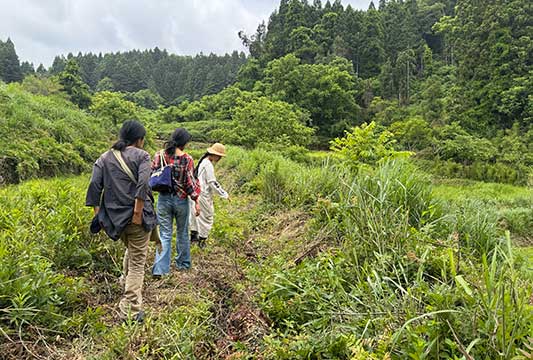 �~����̔~���ɂ�