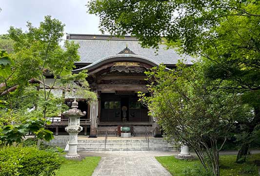 �������T��