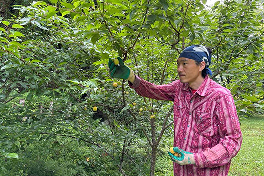 �~�����n