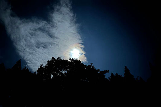 �����̖��