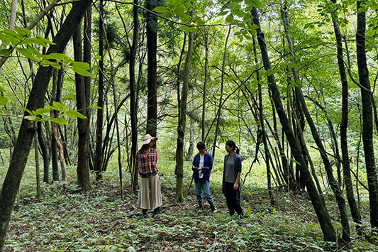 �����P�S��