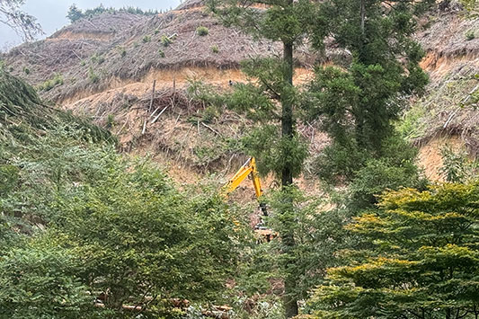 ���̔���