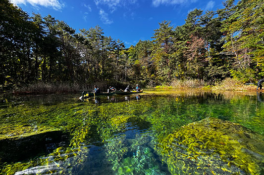 �ۃ��r�̑����