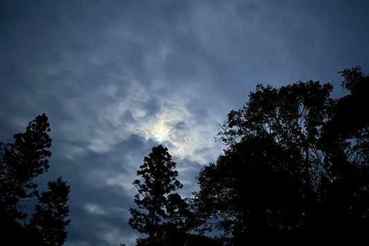 �\����̌���