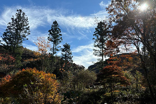 ���̂��ꂽ�R�Ƒ��z