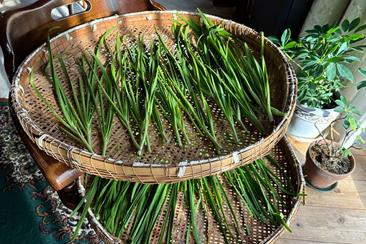 �������j��