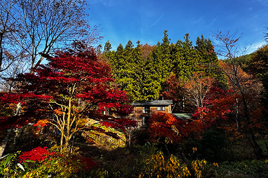 �g�t�̂͂���߃����h