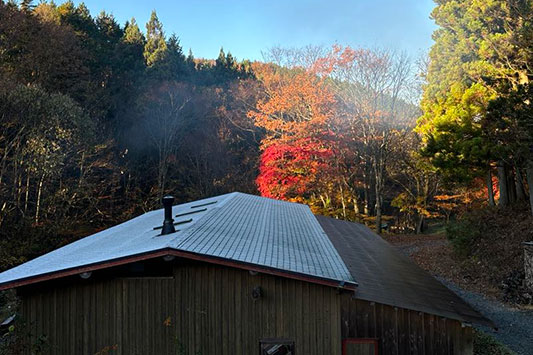 �͂���߃����h�̍g�t