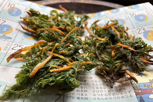 �ɂ񂶂�̂����g��