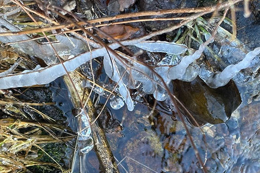 ���݂������������ӂ���