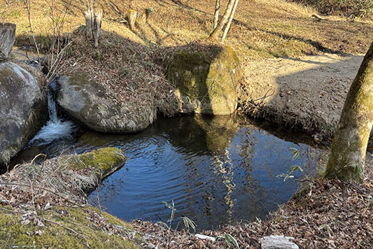 �����L�O�̓�