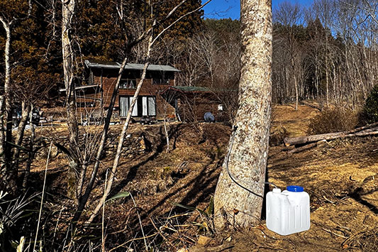 �͂���߃����h�A�J�G�f�̎��t���̎�