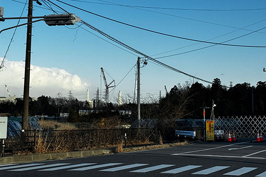 ��F�����猩���t�N�C�`