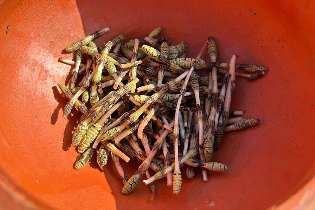 �������