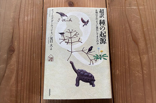 ����@��̋N��