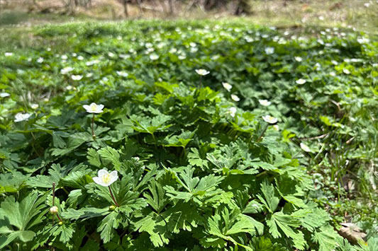 �j�����\�E