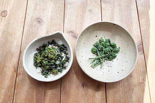 �����r�E�R�S�~