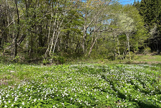 �j�����\�E