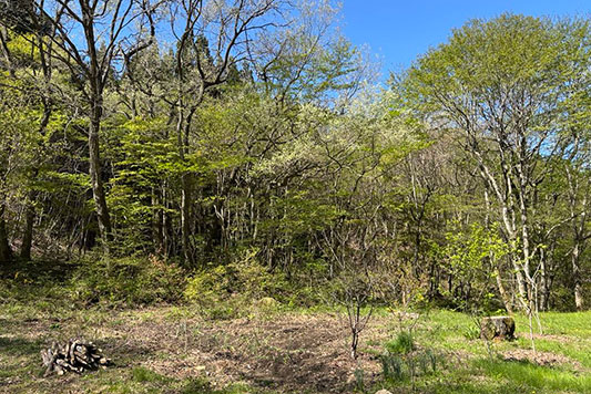 ���Ⴊ������A����