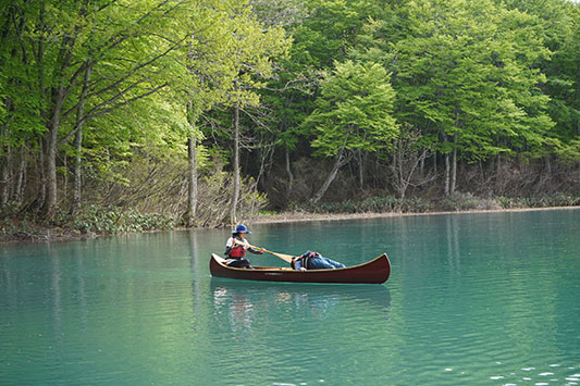 �R�`�ŃJ�k�[