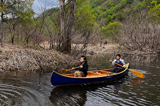 �r��΂ŃJ�k�[�̐i����