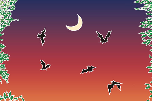 ��������