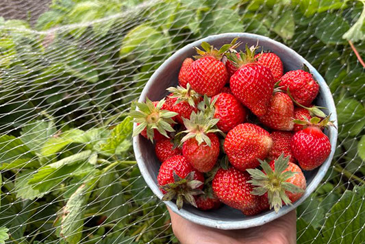 �������`