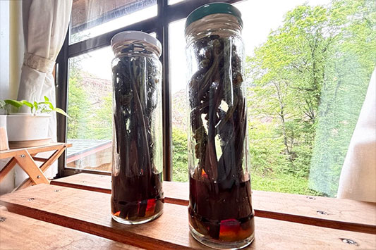 ���т̈�{�Ђ�