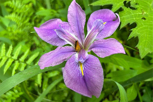 �J�k�[����