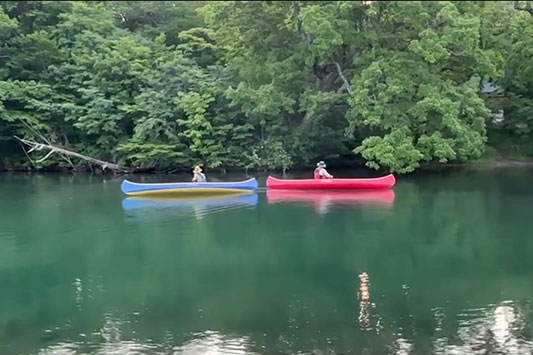 �J�k�[�̓���