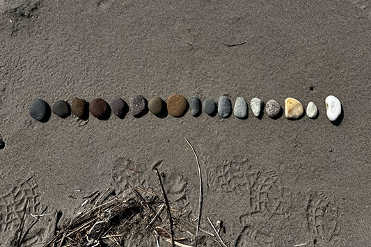 �L���Ȑ΂̐F