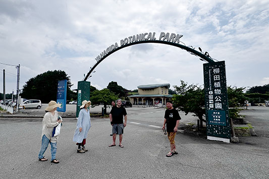 ��Ȃ����A�������̉���