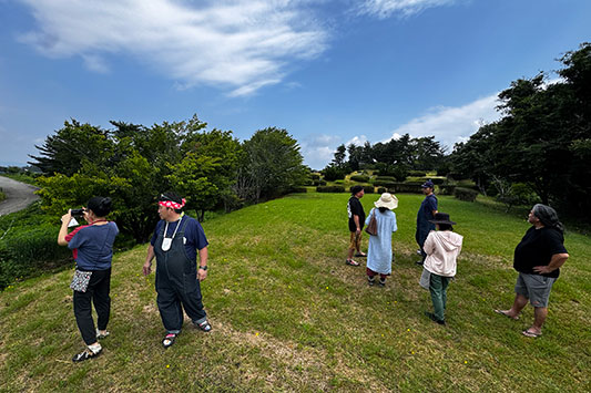 ��Ȃ����A�������̉���