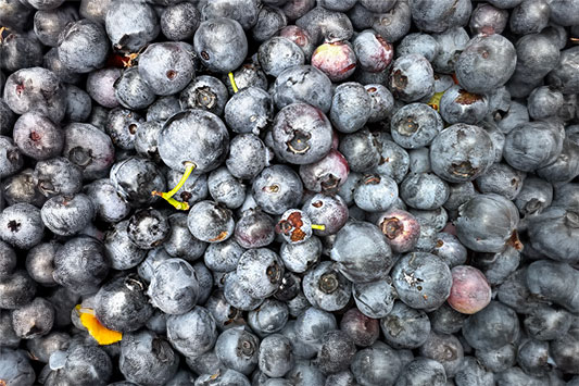 �u���[�x���[