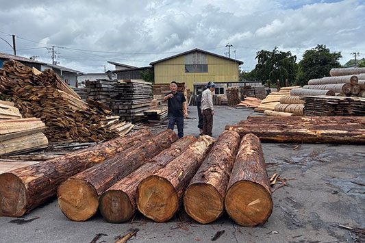 �}���^�̑I��