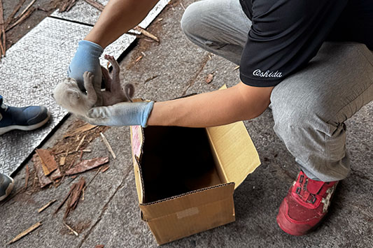 �l�R�̍��͋߂Â���