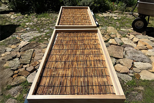 �~�����������g