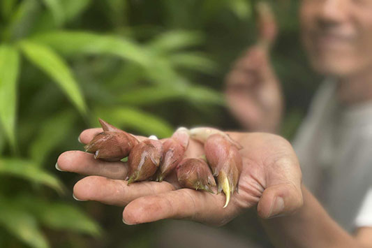 �~���E�K�Ə�