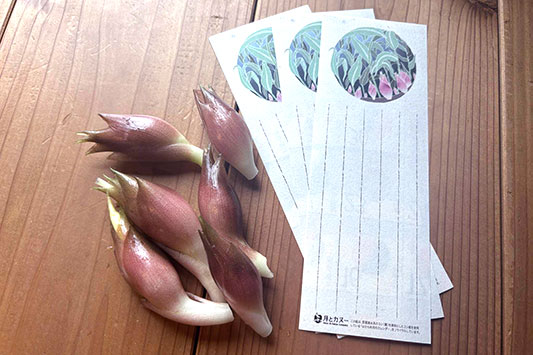 �~���E�K�ƃ~���E�K�̈�M�