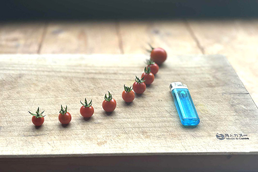 �����ȃg�}�g